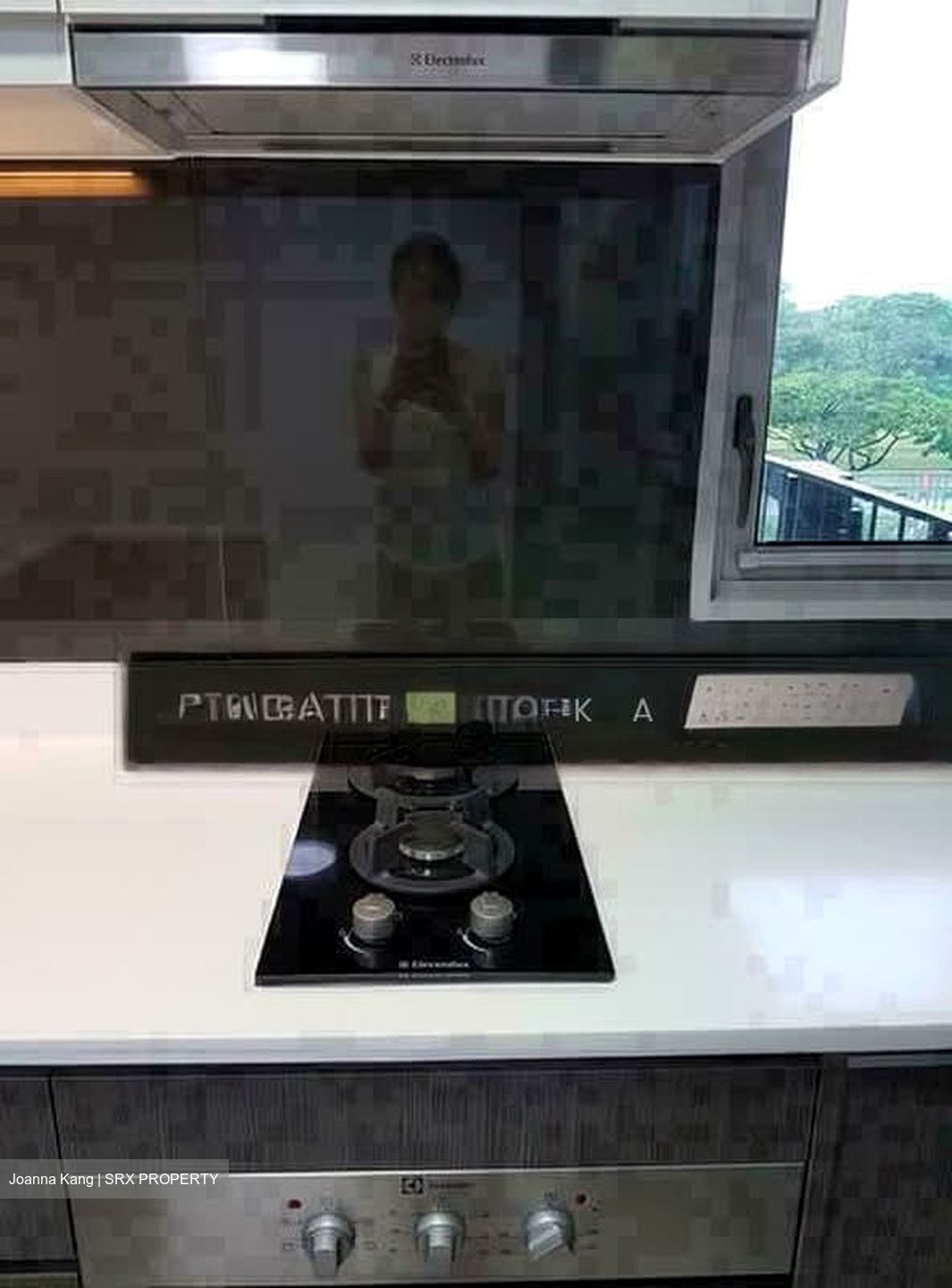 Q Bay Residences (D18), Condominium #588194111